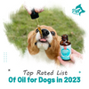 Top Rated List Of Oil for Dogs in 2023