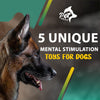 5 Unique Mental Stimulation Toys For Dogs
