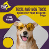 Toxic and Non Toxic Spices for Your Beloved Dogs