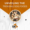 Unveiling the Trending Dog Foods