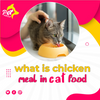 What is Chicken Meal in Cat food