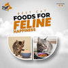 Discover the Best Cat Foods for Ultimate Happiness