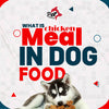 What is chicken meal in dog food?