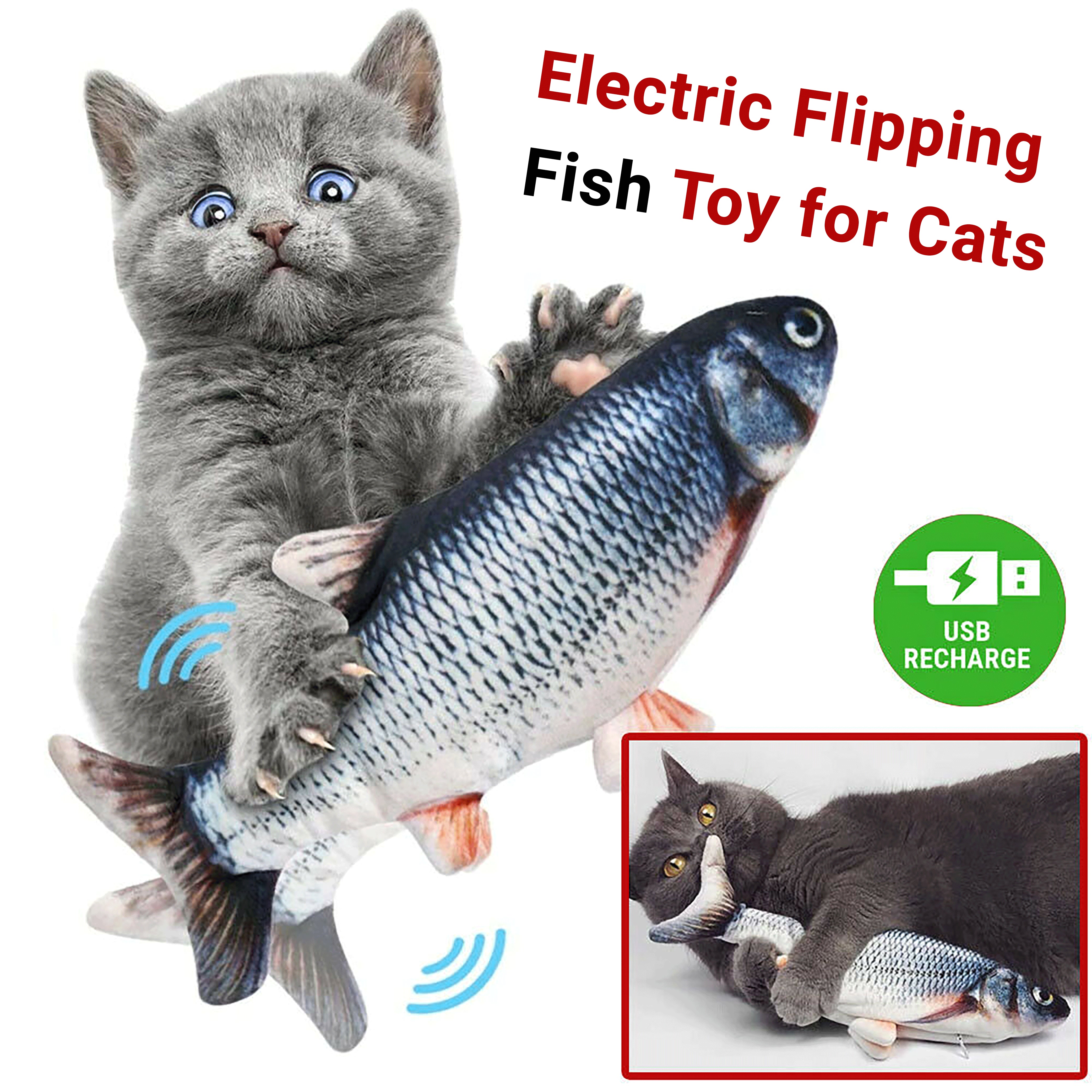 Electric Interactive Fish Kicker Toy