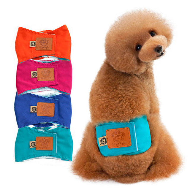 Quality Male Pet Physiological Pants
