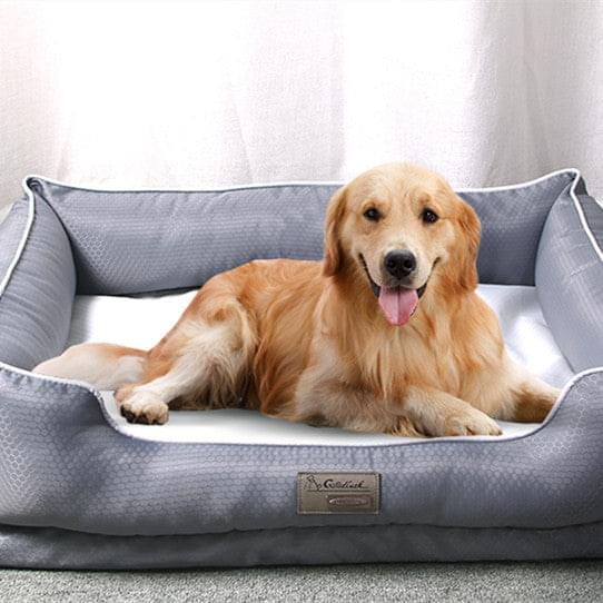 Removable Pet Litter Dog Beds Pet Supplies